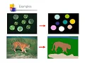 Introduction to Image Segmentation Detection of Discontinuities