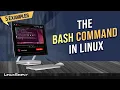 How to Use bash Command in Linux 5 Practical Examples LinuxSimply