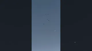 أغاني عبد الحليم بدون موسيقى مقاطع قصيرة 