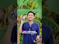 Download Lagu Cara Nerbangin Drone biar ANTENG