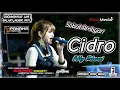 CIDRO || Febby Maharani || Galaxy Musik || PANAMA DIGITAL AUDIO