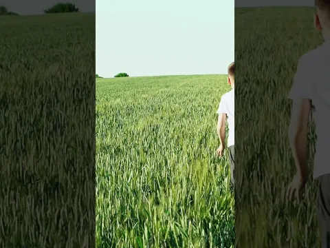 Urgente rouba o lugar do importante

O urgente rouba o lugar do importante todo santo dia. Seu filho