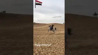 نزلة السمان  الفارسة نازلى حماد   تكبيش ملكة الجبل   الملكة نازلى حماد                               دندنها