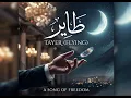 Saber Rebai - Tayer [Official Music video] | صابر الرباعي - طاير