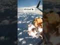 Download Lagu How many birds hit the plane's engine?