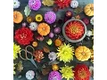 Makelight Studio - Photography Backgrounds Autumn Props