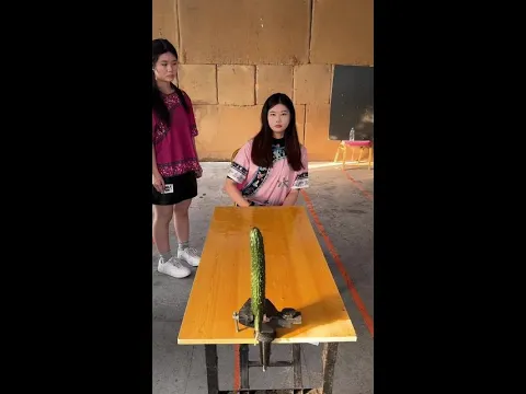 练成了中国功夫大师丨飞牌绝技丨气功 中国功夫大师丨飞牌技巧丨气功 #搞笑#功夫#funny#kungfu