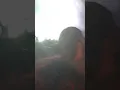 Post Malone congratulations Memphis TN