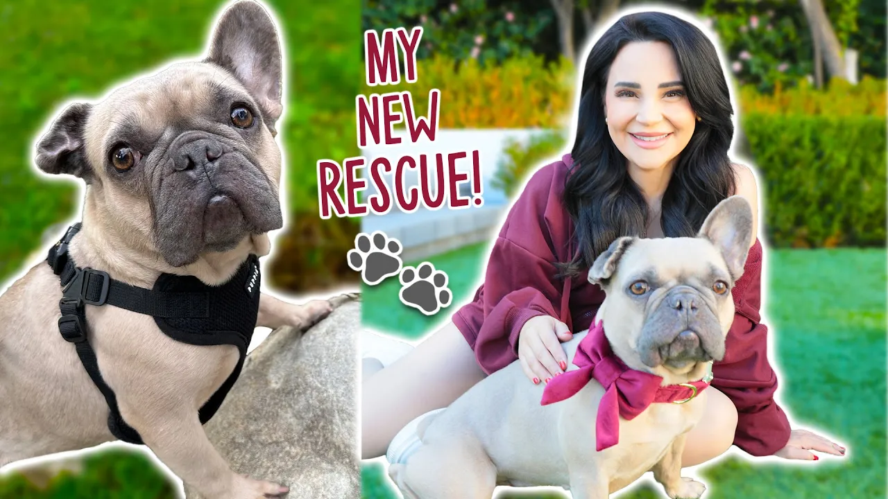 I Got A New Rescue Dog! + Giving Her The Best Day Ever