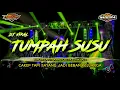 Download Lagu Cakep Tapi Sayang Jadi Beban Keluarga  DJ Tumpah Susu Viral Tiktok  Slow Bass by Yhaqin Saputra