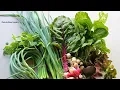 Charlottesville s Drive-Through Farmers Markets