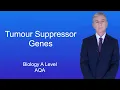 Download Lagu A Level Biology Revision (Year 13) \