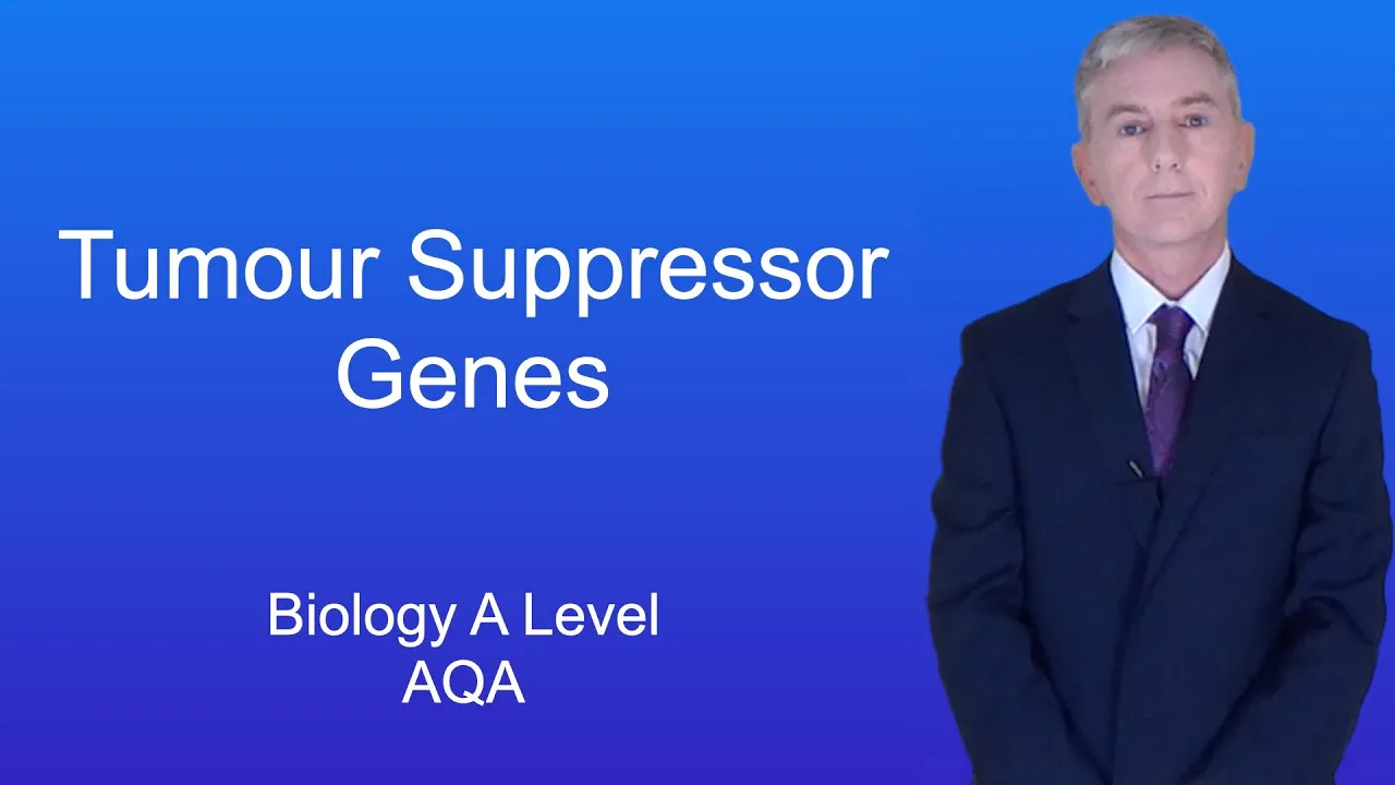 A Level Biology Revision (Year 13) "Tumour Suppressor Genes and Abnormal DNA methylation"
