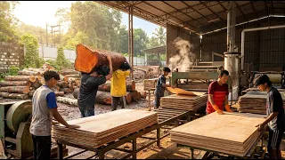 How Plywood is Made in Factory 😱 लकड़ी से कैसे बनती है Plywood? | Full Process | Ply Making