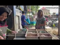 Download Lagu PAGI PAGI WES SREGEP NENG PASAR GAESS 🤣