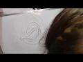 Double Loop Whorl