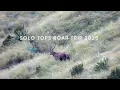 Download Lagu Solo Tops Roar Hunt, New Zealand 2025