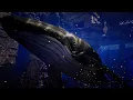 Stick Figure – "Sound of the Sea" [Official 2025 Visualizer]