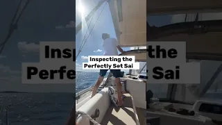 Sailing Cruiser Highlights #shorts