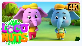 Ek Mota Hathi Shehar Ko Chala, एक मोटा हाथी शहर को चला, Hindi Rhymes and Loco Nuts Cartoon