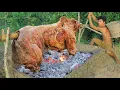 Download Lagu survival in the rainforest   cooking COW
