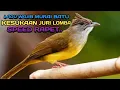 Download Lagu MASTERAN KAPAS TEMBAK GACOR,SPEED RAPET DURASI PANJANG TERBARU