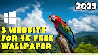 best free wallpaper website for pc how to download 4k hd wallpaper for pc