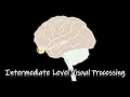 Perception Intermediate-level Visual Processing ENG