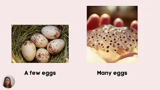 science year 2 unit 4 animals lay a few eggs lay many eggs 
