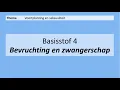 Download Lagu VMBO 3 | Voortplanting en seksualiteit | 4  Bevruchting en zwangerschap | 8e editie | MAX