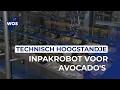 Download Lagu Technisch hoogstandje: inpakrobot voor avocado's