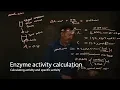 Enzyme calculations - enzyme activity and specific activity