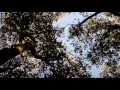 "Lyssna" by This Patch of Sky