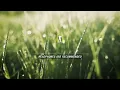 TRY IT FOR 1 DAY! You Won't Regret It! 528 hz "I AM" Affirmations For Success, Wealth & Happiness