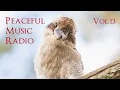 Download Lagu Peaceful Music Radio Vol.13 | 2024.4.14 演奏会のピアノ即興演奏 / Yuusuke