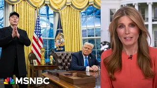 ‘Irony died while he was talking’: Nicolle Wallace on Elon Musk’s takeover of Oval Office 