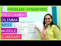 PROBLEM SYNONYMS