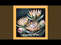 Download Lagu Nak the Ironclad