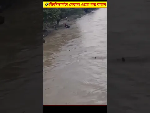 🤣 পুলিশের হাত থেকে পালিয়ে গিয়ে চোর এটা কী করলো | The Geat Escape Bangla