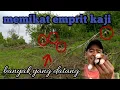 Download Lagu cara memulut/memikat burung emprit kaji