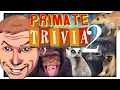 Do You Know Monkeys 2