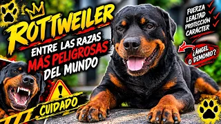EL PERRO QUE NO TODO MUNDO PUEDE TENER ES UN PERRO MUY FUERTE PELIGROSO?