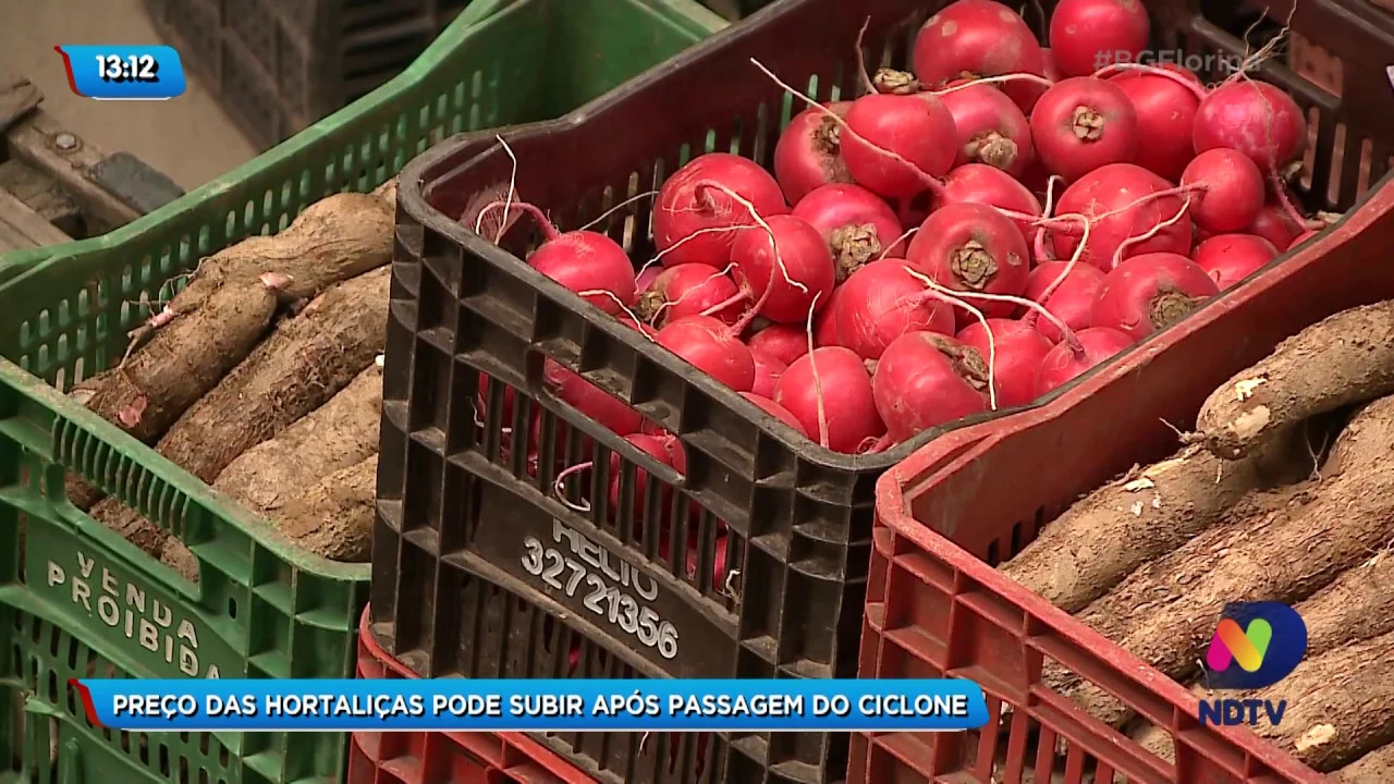 Preço das hortaliças pode subir após passagem do ciclone