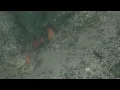 Underwater at Split Apple Rock