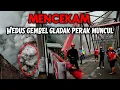 Lagu SEMERU ERUPSI !!! GLADAK PERAK HARI INI GEGER  || jembatan paling berbahaya di INDONESIA 🇮🇩