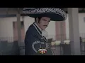 Vicente Fernández - Que Te Vaya Bonito (Letra)