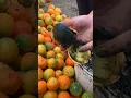 Download Lagu Shocking Discovery Inside This Orange! | Strange Black Orange Fruit