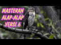 Lagu DOWNLOAD SUARA MASTERAN BURUNG ALAP-ALAP VERSI 6 FULL HD