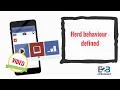 Herd behaviour - defined