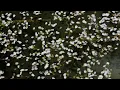 Evans : You Must Believe In Spring  -  III. Gary's Theme